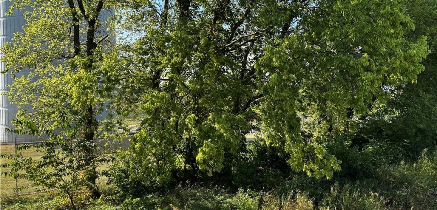 Homes for Sale in Kansas City, MO 64156 | 11902 N Bellaire Avenue