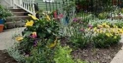 Homes for Sale in Liberty, MO 64068 | 402 N Leonard Street