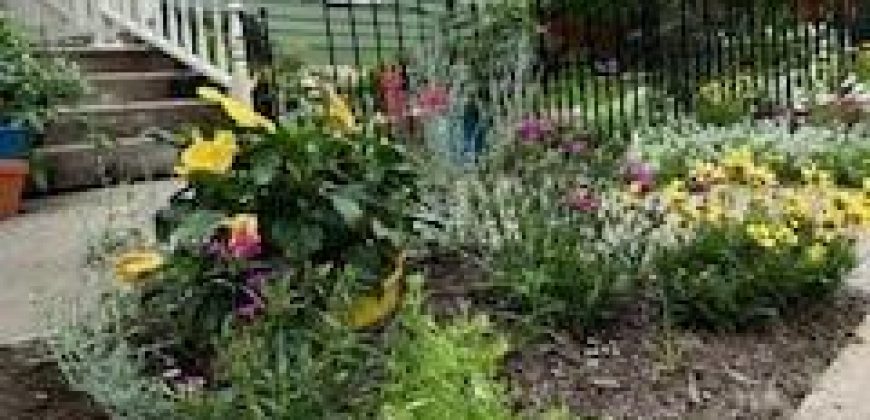 Homes for Sale in Liberty, MO 64068 | 402 N Leonard Street