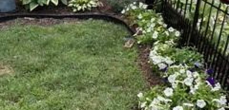 Homes for Sale in Liberty, MO 64068 | 402 N Leonard Street