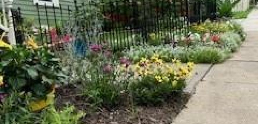 Homes for Sale in Liberty, MO 64068 | 402 N Leonard Street