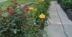 Homes for Sale in Liberty, MO 64068 | 402 N Leonard Street