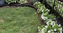 Homes for Sale in Liberty, MO 64068 | 402 N Leonard Street