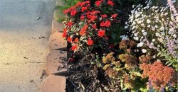 Homes for Sale in Liberty, MO 64068 | 402 N Leonard Street