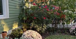 Homes for Sale in Liberty, MO 64068 | 402 N Leonard Street