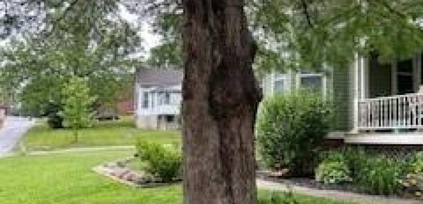 Homes for Sale in Liberty, MO 64068 | 402 N Leonard Street