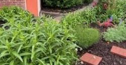 Homes for Sale in Liberty, MO 64068 | 402 N Leonard Street