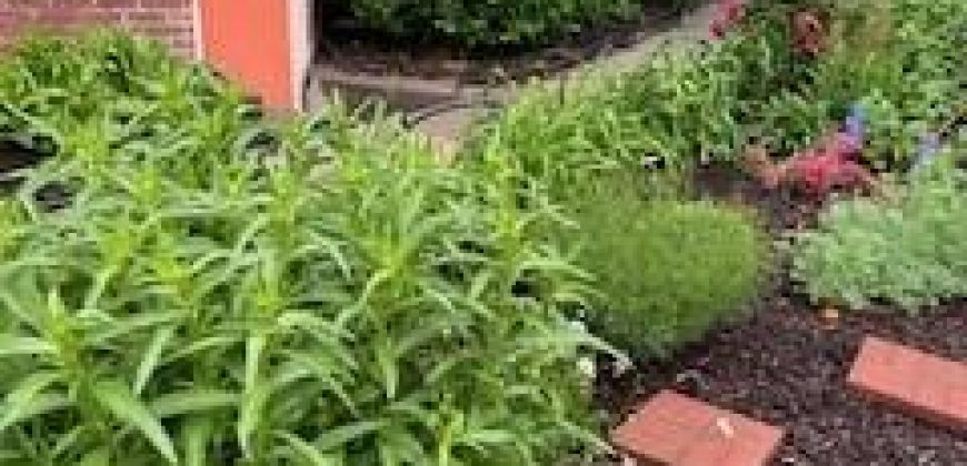 Homes for Sale in Liberty, MO 64068 | 402 N Leonard Street