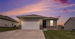 Homes for Sale in Kansas City, MO 64154 | 9458 N Lenox Avenue