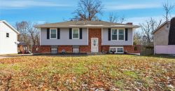 Homes for Sale in Excelsior Springs, MO 64024 | 1229  Michele Drive