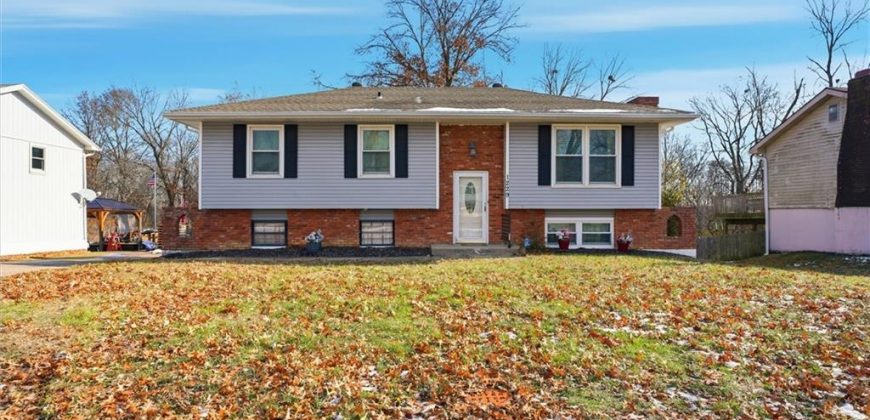 Homes for Sale in Excelsior Springs, MO 64024 | 1229  Michele Drive