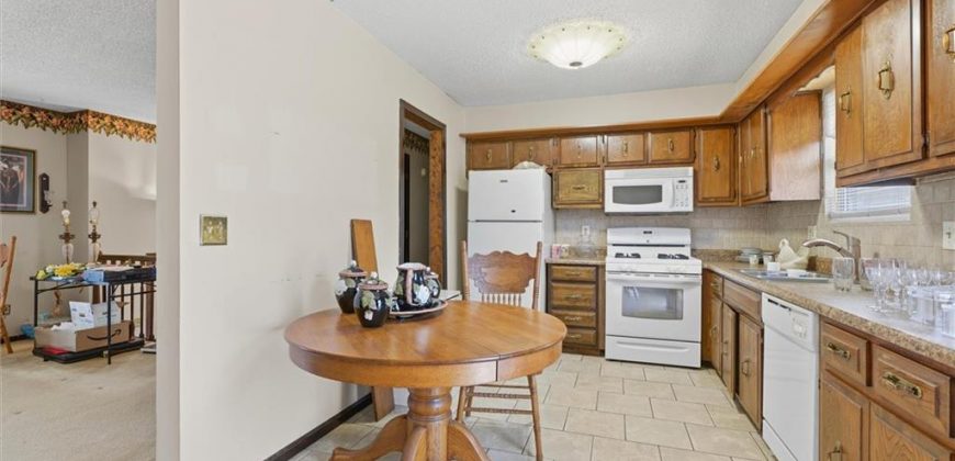 Homes for Sale in Excelsior Springs, MO 64024 | 1229  Michele Drive