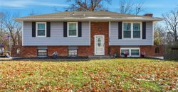 Homes for Sale in Excelsior Springs, MO 64024 | 1229  Michele Drive