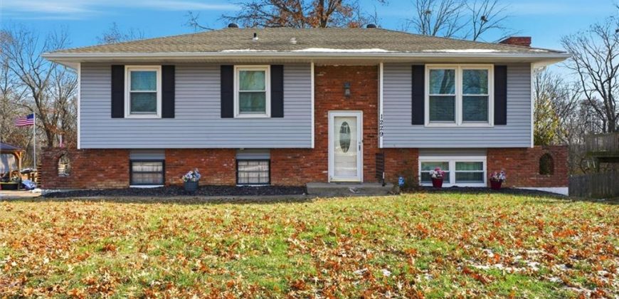 Homes for Sale in Excelsior Springs, MO 64024 | 1229  Michele Drive