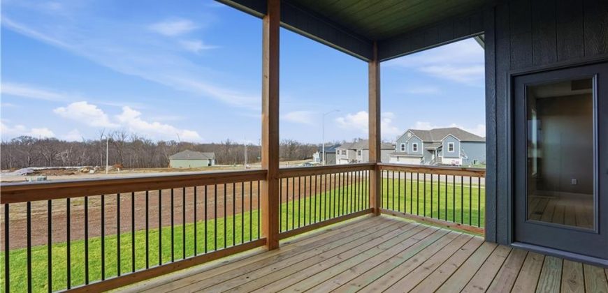 Homes for Sale in Kansas City, MO 64165 | 12160 N Tracy Avenue