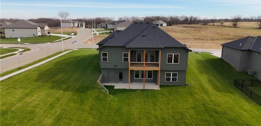 Homes for Sale in Kansas City, MO 64165 | 12160 N Tracy Avenue