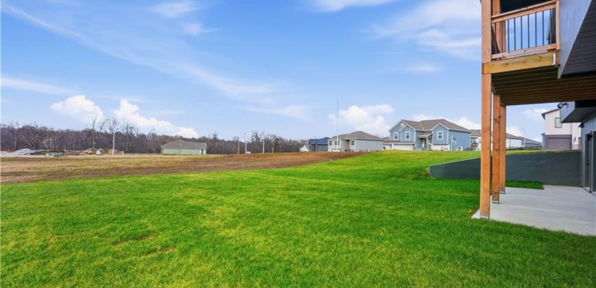 Homes for Sale in Kansas City, MO 64165 | 12160 N Tracy Avenue