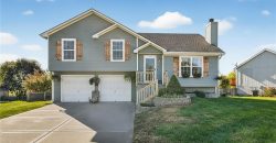 Homes for Sale in Kansas City, MO 64157 | 9305 NE Paw Paw Drive