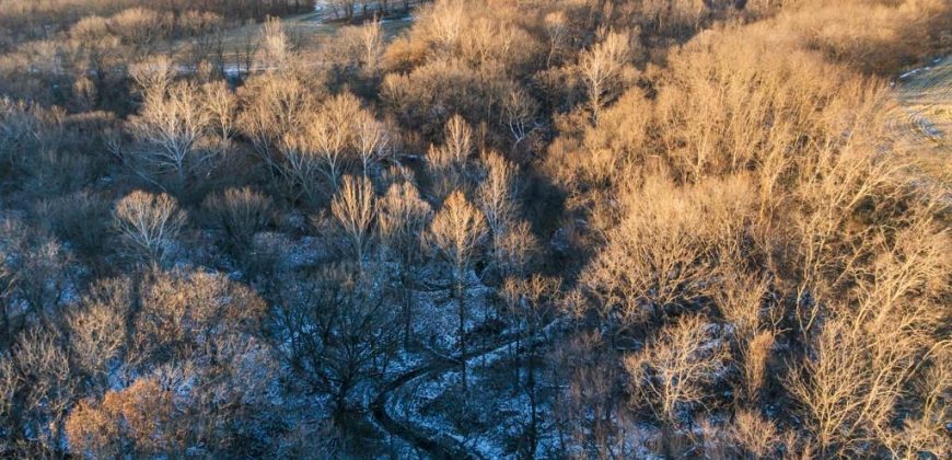 Homes for Sale in Platte City, MO 64079 | 14030  Ode Road