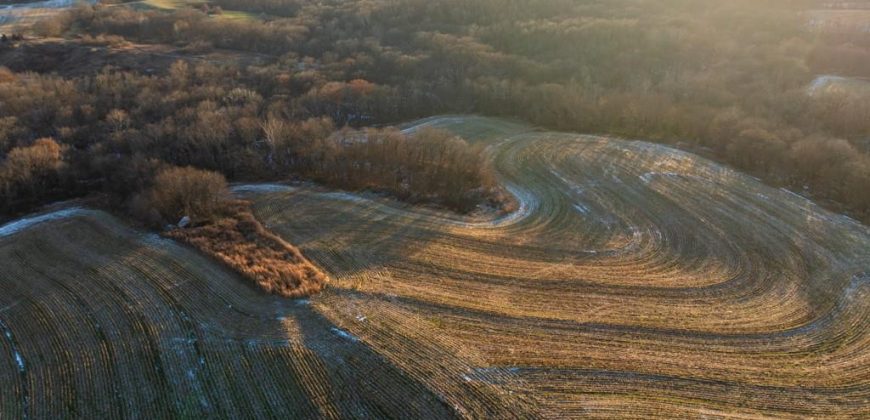 Homes for Sale in Platte City, MO 64079 | 14030  Ode Road