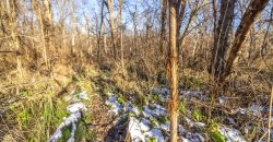 Homes for Sale in Platte City, MO 64079 | 14030  Ode Road