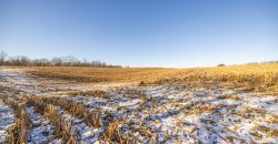 Homes for Sale in Platte City, MO 64079 | 14030  Ode Road