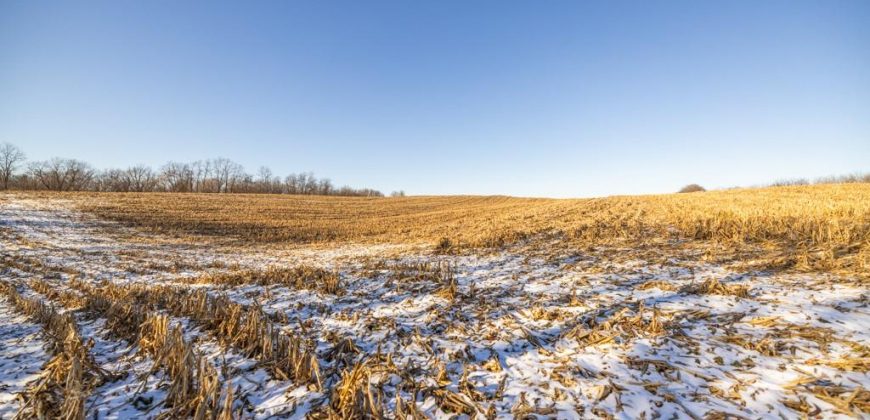 Homes for Sale in Platte City, MO 64079 | 14030  Ode Road