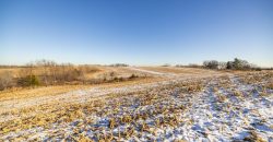 Homes for Sale in Platte City, MO 64079 | 14030  Ode Road