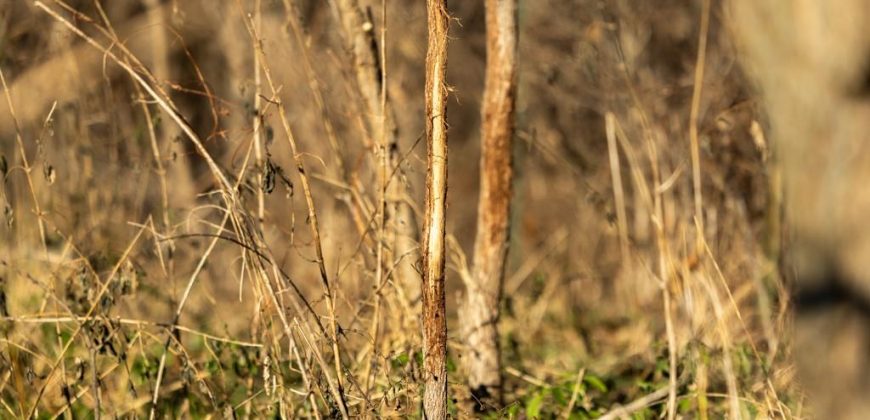 Homes for Sale in Platte City, MO 64079 | 14030  Ode Road