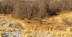 Homes for Sale in Platte City, MO 64079 | 14030  Ode Road