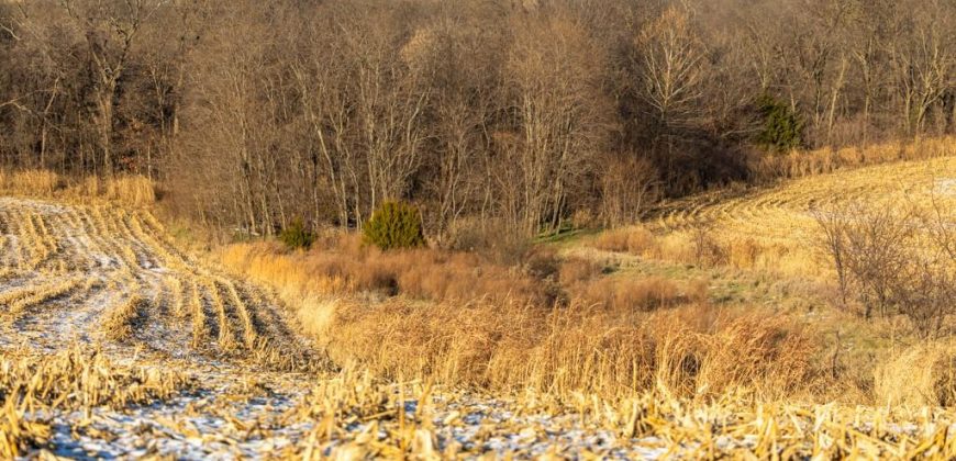 Homes for Sale in Platte City, MO 64079 | 14030  Ode Road