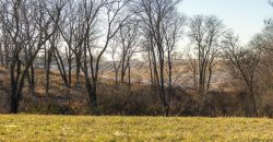 Homes for Sale in Platte City, MO 64079 | 14030  Ode Road