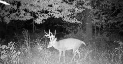 Homes for Sale in Platte City, MO 64079 | 14030  Ode Road