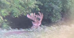 Homes for Sale in Platte City, MO 64079 | 14030  Ode Road