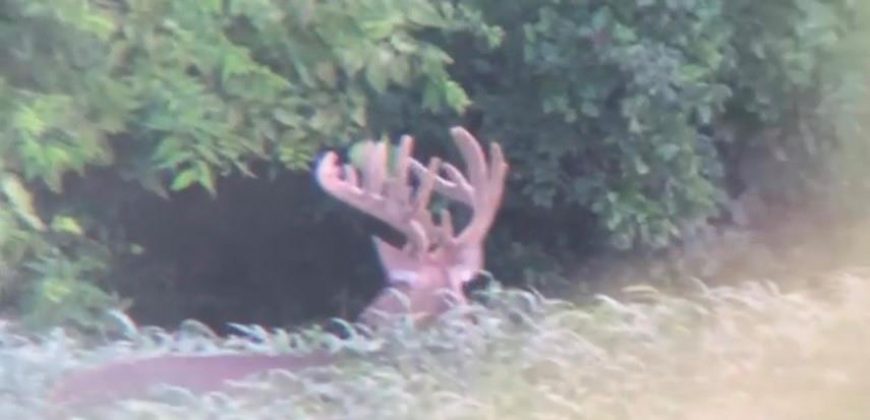 Homes for Sale in Platte City, MO 64079 | 14030  Ode Road