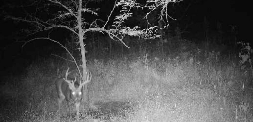 Homes for Sale in Platte City, MO 64079 | 14030  Ode Road