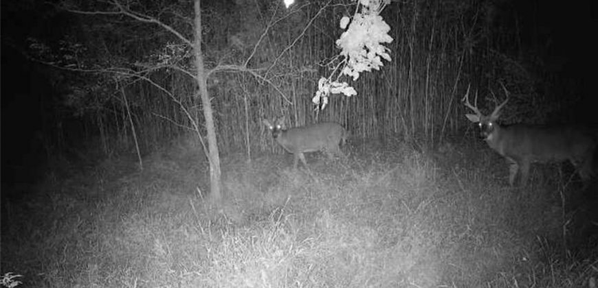 Homes for Sale in Platte City, MO 64079 | 14030  Ode Road