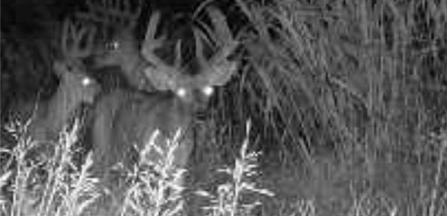 Homes for Sale in Platte City, MO 64079 | 14030  Ode Road