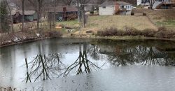 Homes for Sale in Parkville, MO 64152 | 5508 NW Homer White Road