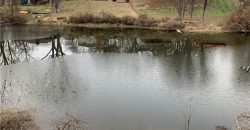 Homes for Sale in Parkville, MO 64152 | 5508 NW Homer White Road