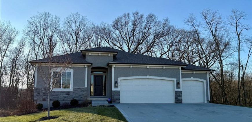 Homes for Sale in Kansas City, MO 64154 | 6615 NW 107th Court