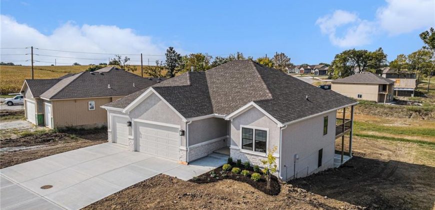 Homes for Sale in Lawson, MO 64062 | 462  Green Drive