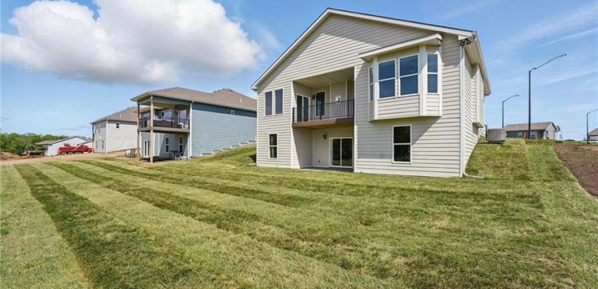 Homes for Sale in Kansas City, MO 64154 | 3041 NW 95th Terrace