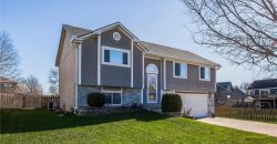 Homes for Sale in Kansas City, MO 64157 | 11425 N Tennessee Avenue