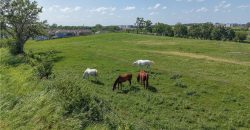 Homes for Sale in Platte City, MO 64079 | 4904 NW 141st Street