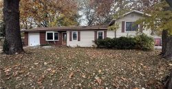 Homes for Sale in Pleasant Valley, MO 64068 | 8609 N Hines Lane