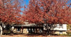 Homes for Sale in Gladstone, MO 64118 | 1612 NE Rosewood Drive