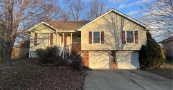 Homes for Sale in Pleasant Valley, MO 64068 | 6913  T Gabbert Drive