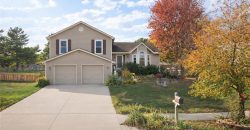 Homes for Sale in Kansas City, MO 64155 | 1423 NE 102ND Terrace