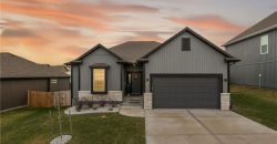 Homes for Sale in Kansas City, MO 64154 | 3925 NW 95th Terrace